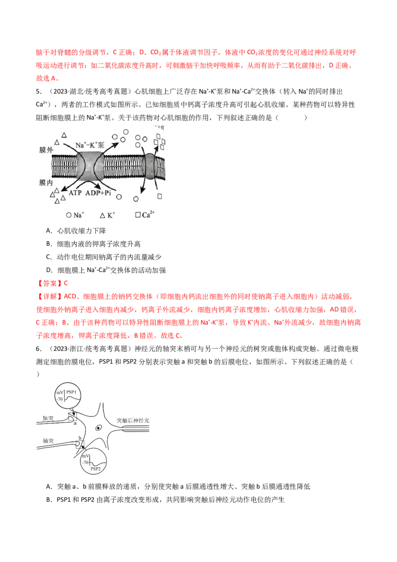 专题17神经调节（解析卷）_近10年高考真题汇编（必刷）_十年（2014-2024）高考生物真题分项汇编（全国通用）_十年（2014-2023）高考生物真题分项汇编（全国通用）