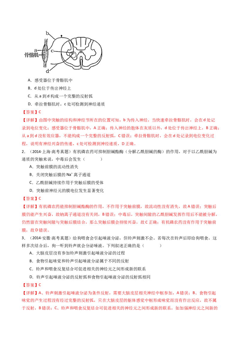 专题17神经调节（解析卷）_近10年高考真题汇编（必刷）_十年（2014-2024）高考生物真题分项汇编（全国通用）_十年（2014-2023）高考生物真题分项汇编（全国通用）
