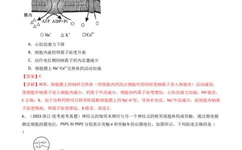 专题17神经调节（解析卷）_近10年高考真题汇编（必刷）_十年（2014-2024）高考生物真题分项汇编（全国通用）_十年（2014-2023）高考生物真题分项汇编（全国通用）