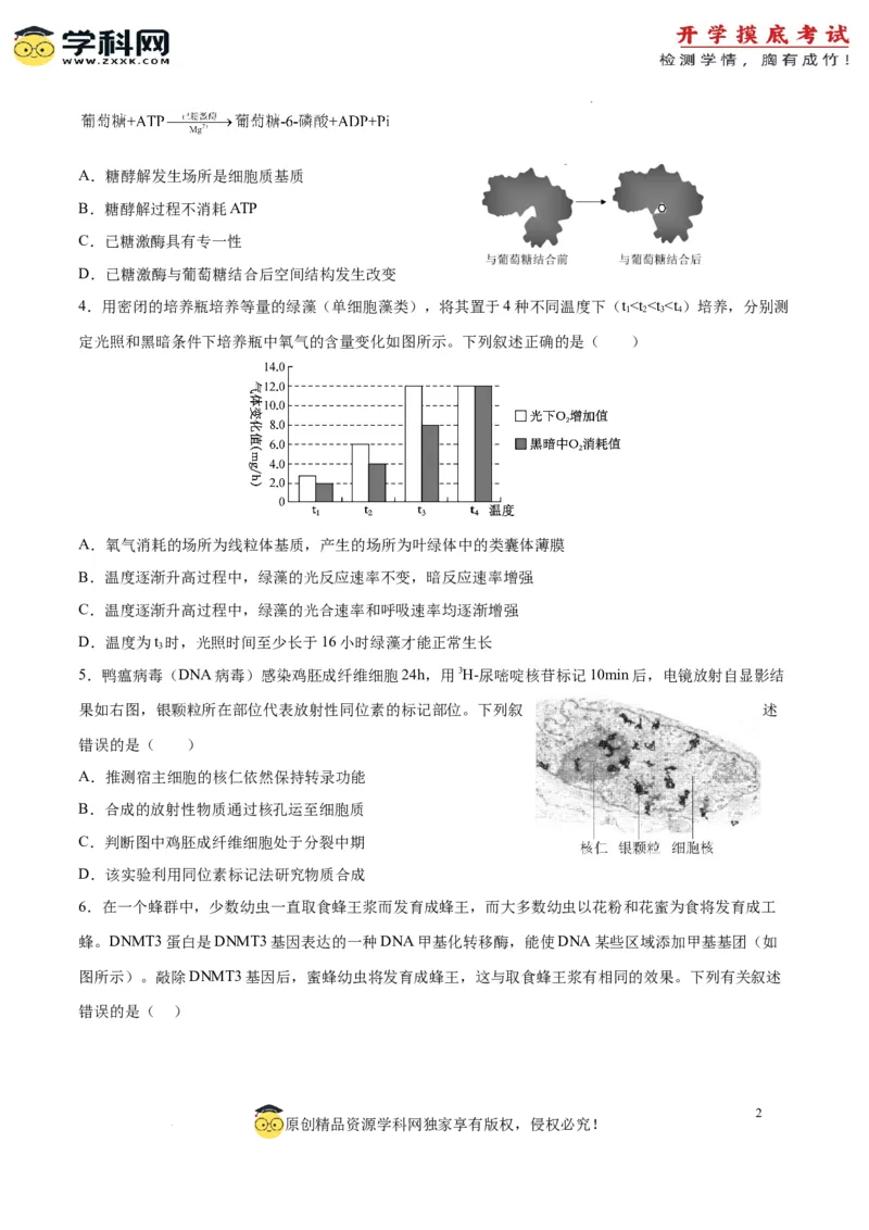 生物（北京卷）（考试版）_2024届新高三开学摸底考试卷_生物-2024届新高三开学摸底考试卷_生物-2024届新高三开学摸底考试卷（北京卷）