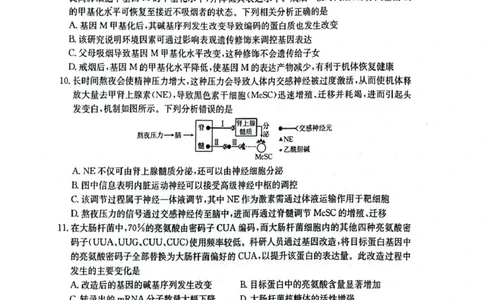 湖北省随州市2025-2026学年高三上学期1月期末生物试题(1)_2026年1月_260112湖北省随州市2025-2026学年高三上学期1月期末质量检测