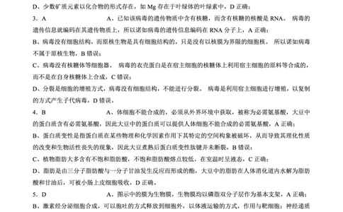重庆外国语学校2026届高三（上）开学考试生物答案_2025年9月_250906重庆市重庆外国语学校2026届高三（上）开学考试（全科）