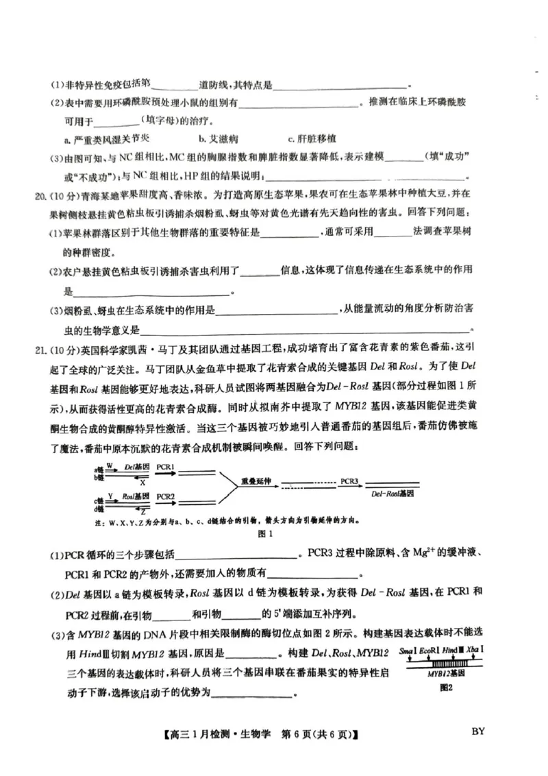 高三生物学考试(1)_2026年1月_260122甘肃省白银市普通高中改革与发展共同体2025-2026学年高三上学期1月期末联考
