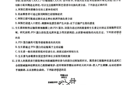 高三生物学考试(1)_2026年1月_260122甘肃省白银市普通高中改革与发展共同体2025-2026学年高三上学期1月期末联考