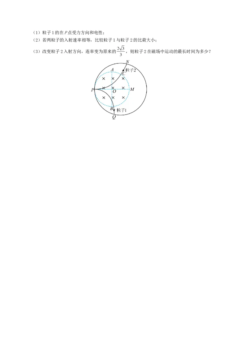 专题10磁场-2024年高考真题和模拟题物理分类汇编（学生卷）_近10年高考真题汇编（必刷）_十年（2014-2024）高考物理真题分项汇编（全国通用）