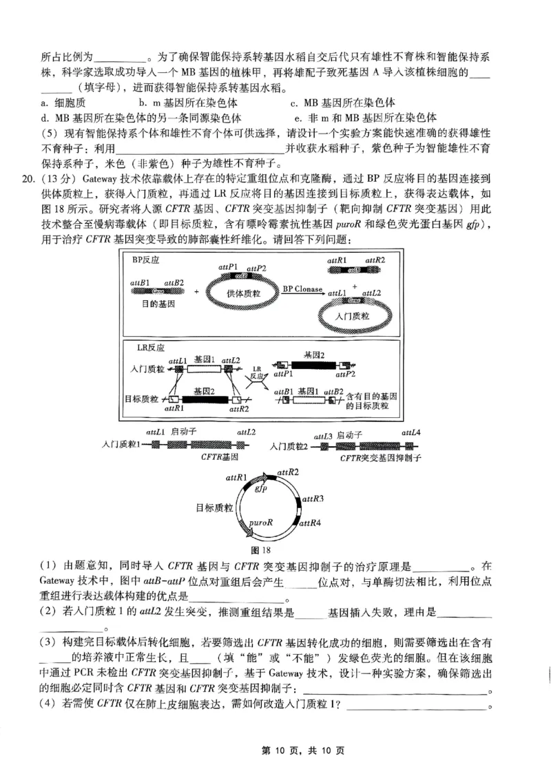 重庆市巴蜀中学2025届高考适应性月考卷（九）生物_2025年5月_250526重庆市巴蜀中学2025届高考适应性月考卷（九）（全科）