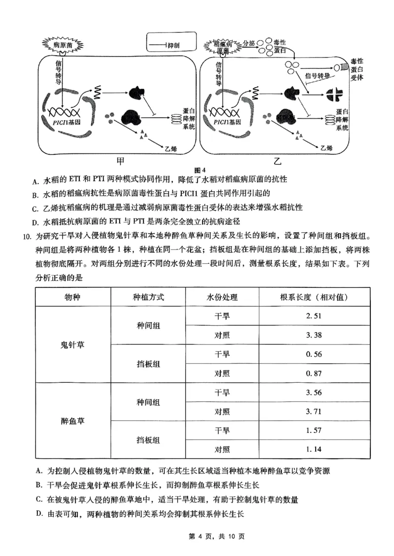 重庆市巴蜀中学2025届高考适应性月考卷（九）生物_2025年5月_250526重庆市巴蜀中学2025届高考适应性月考卷（九）（全科）