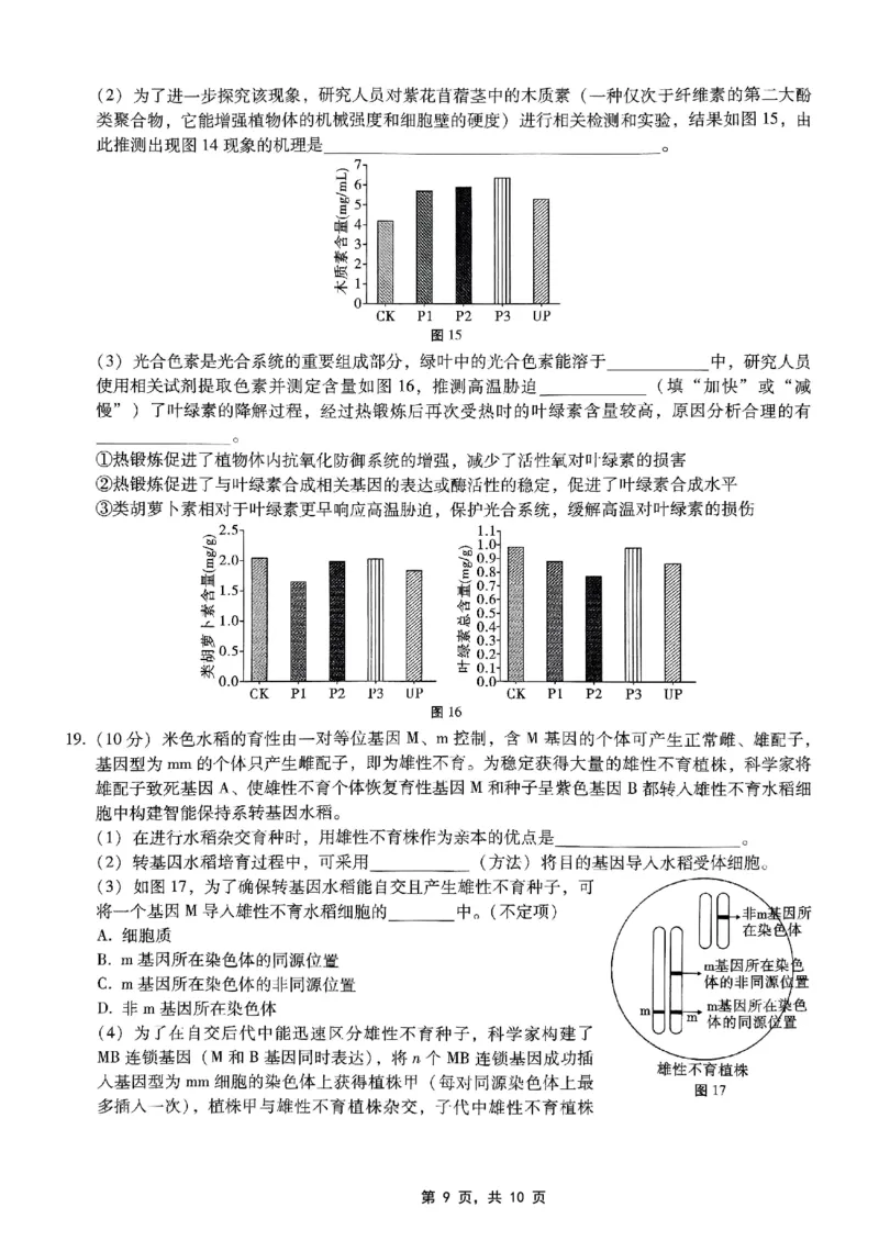 重庆市巴蜀中学2025届高考适应性月考卷（九）生物_2025年5月_250526重庆市巴蜀中学2025届高考适应性月考卷（九）（全科）