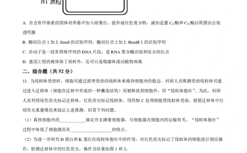 天津杨村高三上(开学考)-生物试题+答案(1)_2023年9月_029月合集_2024届天津市武清区杨村第一中学高三上学期开学检测