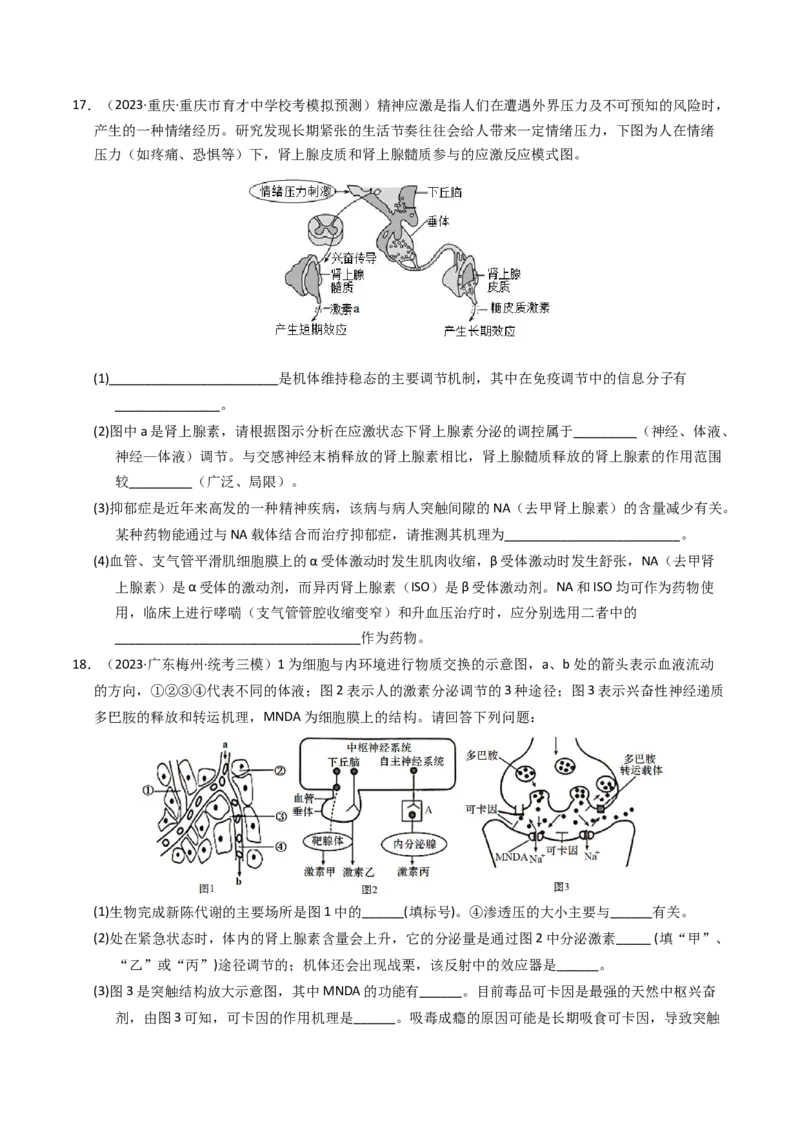 专题11内环境及其稳态（学生卷）_近10年高考真题汇编（必刷）_十年（2014-2024）高考生物真题分项汇编（全国通用）_2023年高考真题和模拟题生物分项汇编（全国通用）
