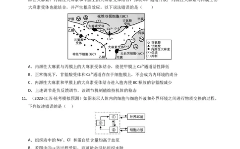 专题11内环境及其稳态（学生卷）_近10年高考真题汇编（必刷）_十年（2014-2024）高考生物真题分项汇编（全国通用）_2023年高考真题和模拟题生物分项汇编（全国通用）