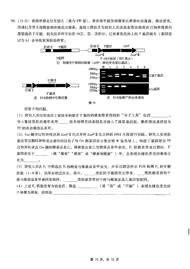 重庆市巴蜀中学2025届高考适应性月考卷（八）生物_2025年5月_250504重庆市巴蜀中学2025届高考适应性月考卷（八）（全科）