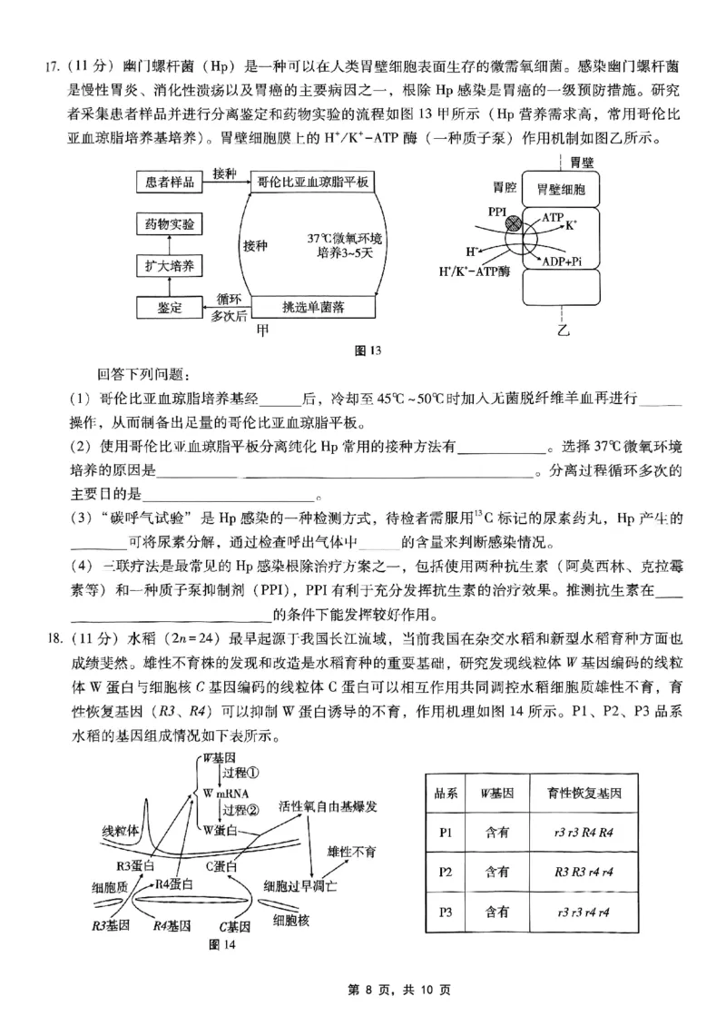 重庆市巴蜀中学2025届高考适应性月考卷（八）生物_2025年5月_250504重庆市巴蜀中学2025届高考适应性月考卷（八）（全科）