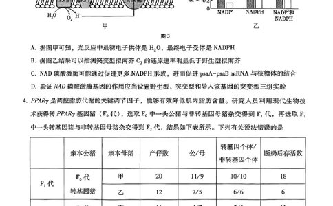 重庆市巴蜀中学2025届高考适应性月考卷（八）生物_2025年5月_250504重庆市巴蜀中学2025届高考适应性月考卷（八）（全科）