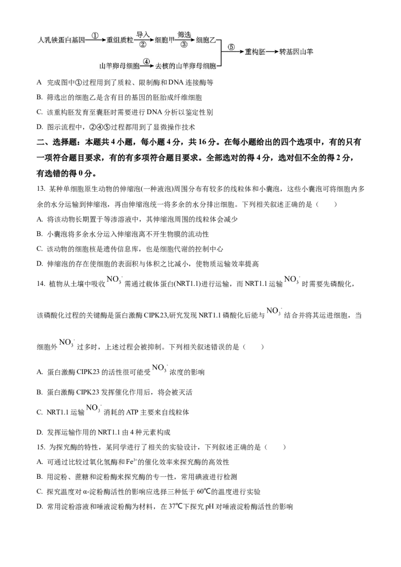 安徽省巢湖市一中2023-2024学年高三10月月考生物试题(1)_2023年10月_0210月合集_2024届安徽省巢湖市第一中学高三上学期10月月考试题