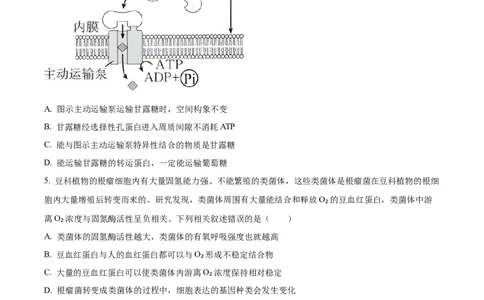 安徽省巢湖市一中2023-2024学年高三10月月考生物试题(1)_2023年10月_0210月合集_2024届安徽省巢湖市第一中学高三上学期10月月考试题