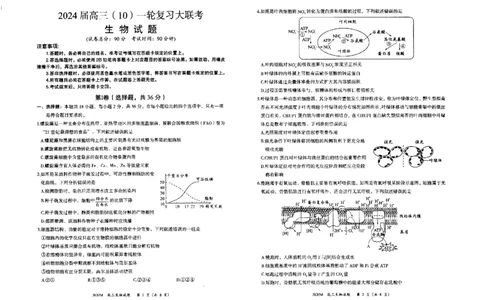 内蒙古赤峰市2023-2024学年高三上学期10月一轮复习联考生物(1)_2023年10月_0210月合集_2024届内蒙古赤峰市高三上学期10月一轮复习联考_内蒙古赤峰市2024届高三上学期10月一轮复习联考生物