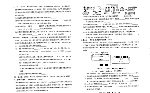 内蒙古赤峰市2023-2024学年高三上学期10月一轮复习联考生物(1)_2023年10月_0210月合集_2024届内蒙古赤峰市高三上学期10月一轮复习联考_内蒙古赤峰市2024届高三上学期10月一轮复习联考生物