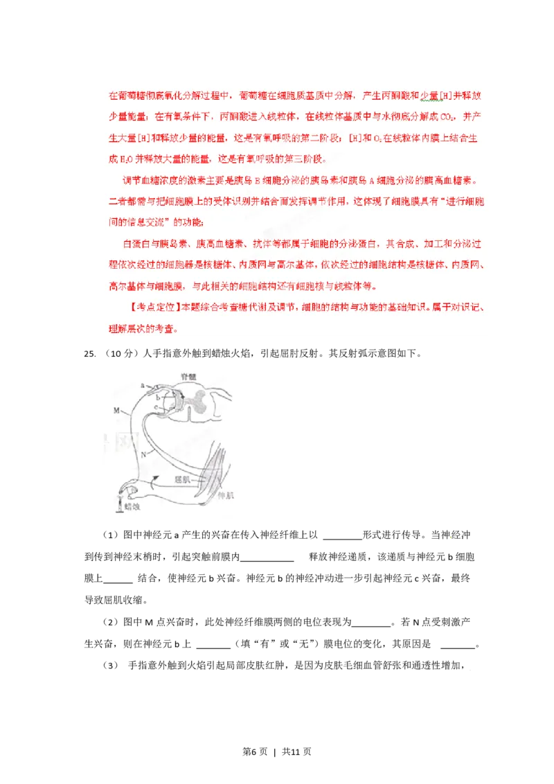 2012年高考生物试卷（山东）（解析卷）_生物历年高考真题_新&middot;PDF版2008-2025&middot;高考生物真题_生物（按年份分类）2008-2025_2012&middot;高考生物真题