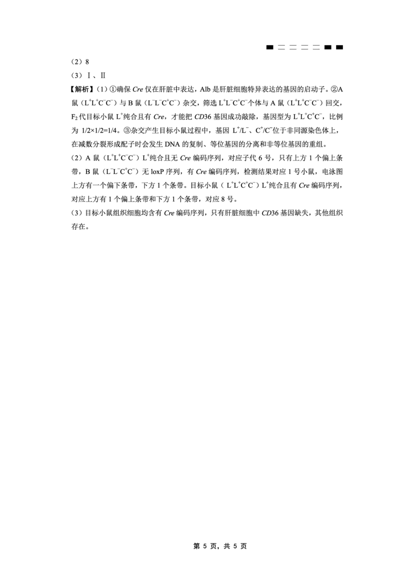 重庆市第八中学2025届高三5月适应性月考卷（七）生物答案_2025年5月_250515重庆市第八中学2025届高三5月适应性月考卷（七）（全科）