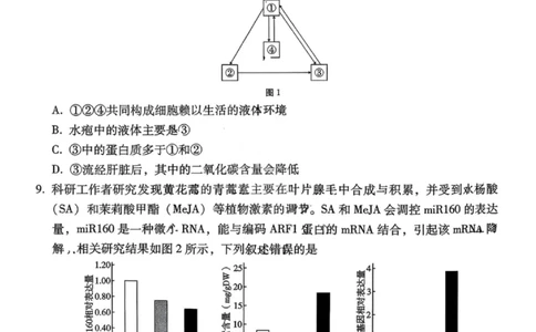 生物试卷-云南师大附中2026届高三1月高考适应性月考卷（六）(1)_2026年1月_260118云南师大附中2026届高三1月高考适应性月考卷（六）