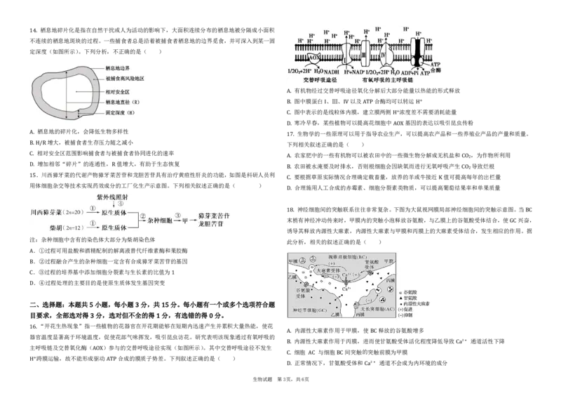 黑龙江省大庆市大庆中学2024-2025学年高三上学期12月模拟考试生物PDF版含答案（可编辑）_2025年1月_250103黑龙江省大庆市大庆中学2024-2025学年高三上学期12月二模