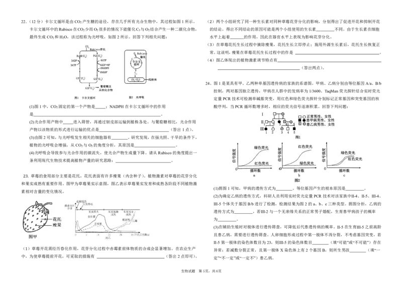 黑龙江省大庆市大庆中学2024-2025学年高三上学期12月模拟考试生物PDF版含答案（可编辑）_2025年1月_250103黑龙江省大庆市大庆中学2024-2025学年高三上学期12月二模