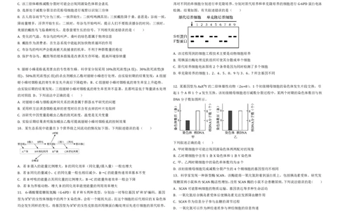 黑龙江省大庆市大庆中学2024-2025学年高三上学期12月模拟考试生物PDF版含答案（可编辑）_2025年1月_250103黑龙江省大庆市大庆中学2024-2025学年高三上学期12月二模