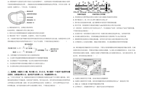 黑龙江省大庆市大庆中学2024-2025学年高三上学期12月模拟考试生物PDF版含答案（可编辑）_2025年1月_250103黑龙江省大庆市大庆中学2024-2025学年高三上学期12月二模