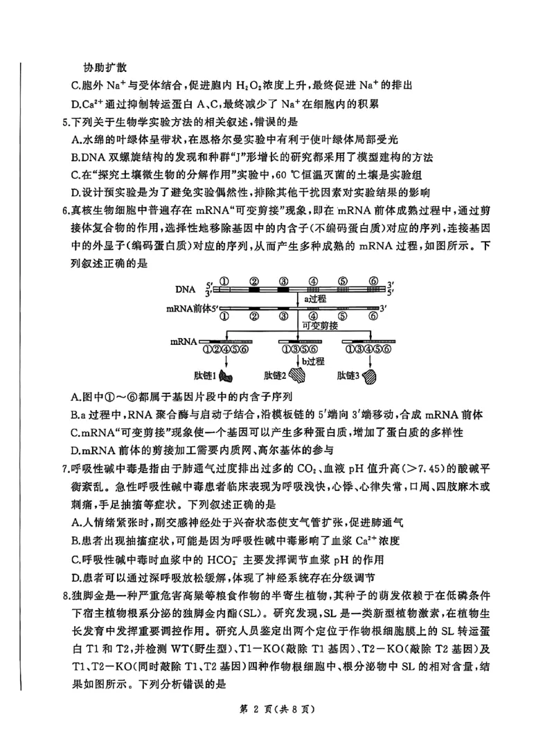 NT名校联合体2025-2026学年高三上学期1月月考生物(1)_2026年1月_260115河北省NT名校联合体2025-2026学年高三上学期1月月考（全科）