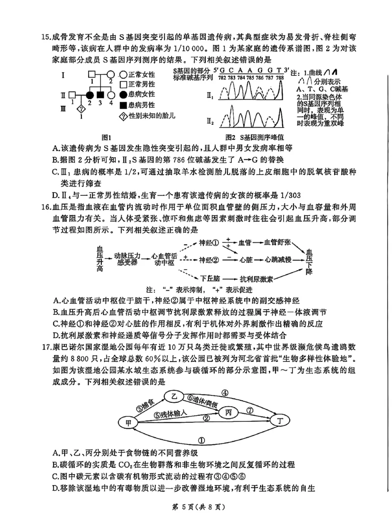 NT名校联合体2025-2026学年高三上学期1月月考生物(1)_2026年1月_260115河北省NT名校联合体2025-2026学年高三上学期1月月考（全科）
