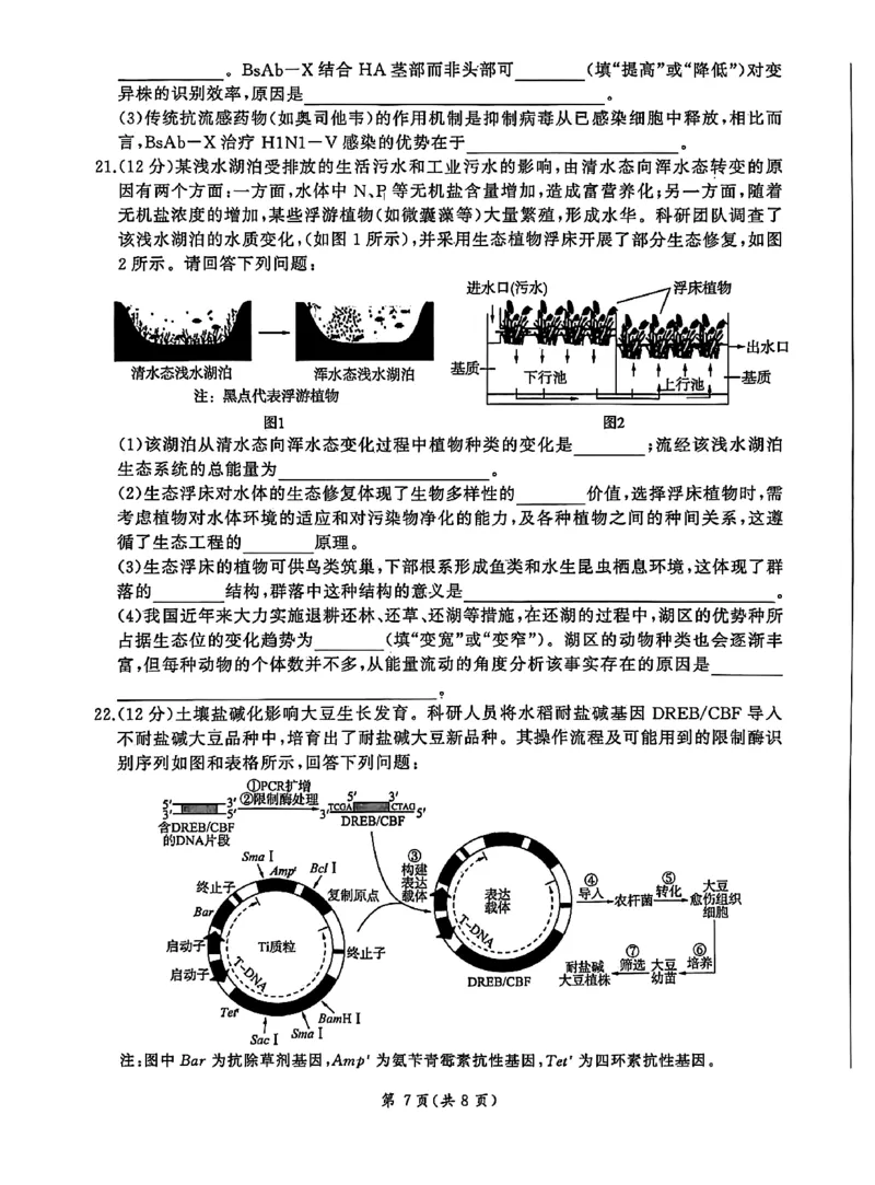 NT名校联合体2025-2026学年高三上学期1月月考生物(1)_2026年1月_260115河北省NT名校联合体2025-2026学年高三上学期1月月考（全科）
