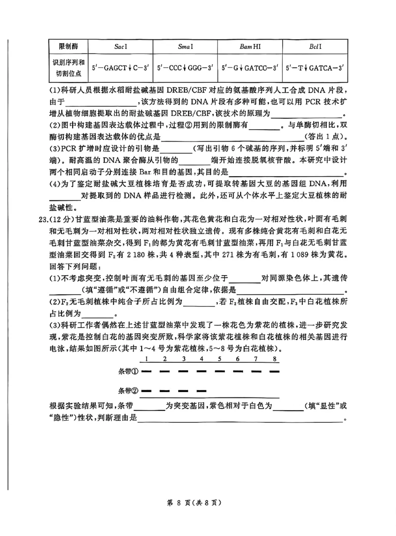 NT名校联合体2025-2026学年高三上学期1月月考生物(1)_2026年1月_260115河北省NT名校联合体2025-2026学年高三上学期1月月考（全科）