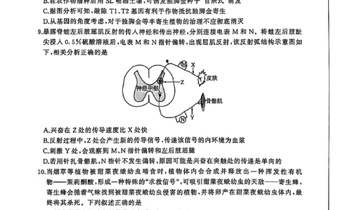 NT名校联合体2025-2026学年高三上学期1月月考生物(1)_2026年1月_260115河北省NT名校联合体2025-2026学年高三上学期1月月考（全科）