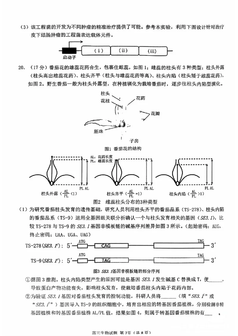 2024届福建省泉州市高中毕业班质量检测（一）生物_2023年8月_01每日更新_30号_2024届福建省泉州市高中毕业班质量检测（一）_福建卷2024届福建省泉州市高中毕业班质量检测（一）