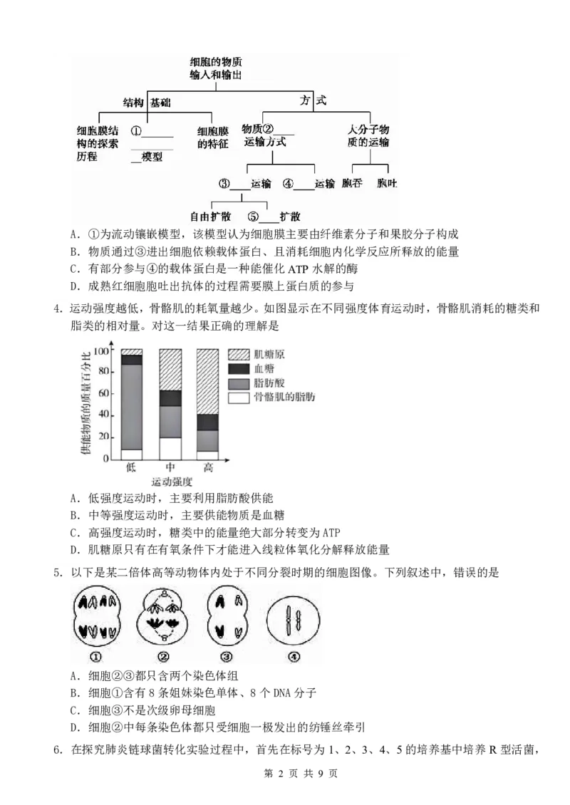 广西南宁市武鸣高级中学2023-2024学年高三上学期开学考试生物(1)_2023年8月_028月合集_2024届广西南宁市武鸣高级中学高三上学期开学考试
