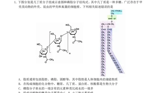 广西南宁市武鸣高级中学2023-2024学年高三上学期开学考试生物(1)_2023年8月_028月合集_2024届广西南宁市武鸣高级中学高三上学期开学考试