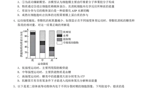 广西南宁市武鸣高级中学2023-2024学年高三上学期开学考试生物(1)_2023年8月_028月合集_2024届广西南宁市武鸣高级中学高三上学期开学考试