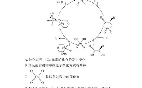 长郡中学2026届高三月考试卷（二）化学_2025年10月_251016湖南省长沙市长郡中学2025-2026学年高三上学期月考（二）（全科）