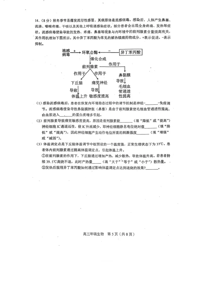 天津市和平区2025-2026学年高三上学期1月期末生物试题（含答案）(1)_2026年1月_260128天津市和平区2025-2026学年高三上学期1月期末（全科）