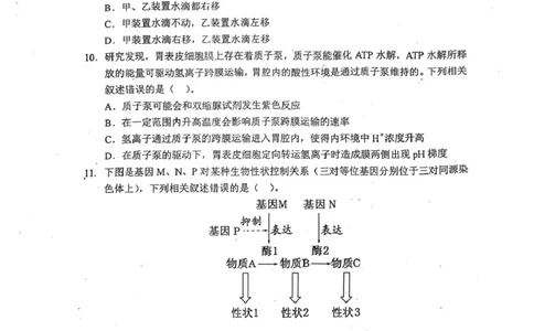 天津市和平区2025-2026学年高三上学期1月期末生物试题（含答案）(1)_2026年1月_260128天津市和平区2025-2026学年高三上学期1月期末（全科）
