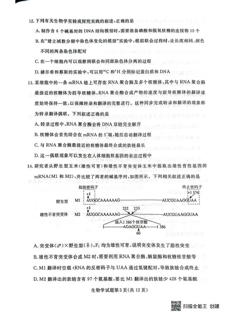 辽宁省名校联盟2026届高三上学期10月联考生物试题+答案_2025年10月_251009辽宁省名校联盟2025-2026年高三10月联考