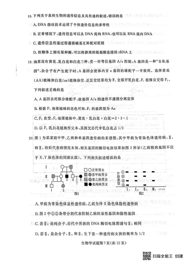 辽宁省名校联盟2026届高三上学期10月联考生物试题+答案_2025年10月_251009辽宁省名校联盟2025-2026年高三10月联考
