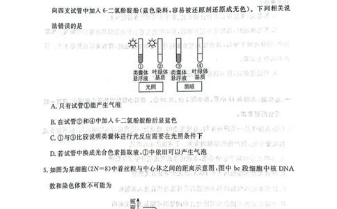辽宁省名校联盟2026届高三上学期10月联考生物试题+答案_2025年10月_251009辽宁省名校联盟2025-2026年高三10月联考