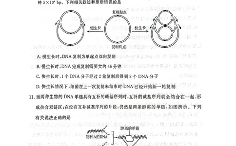 辽宁省名校联盟2026届高三上学期10月联考生物试题+答案_2025年10月_251009辽宁省名校联盟2025-2026年高三10月联考