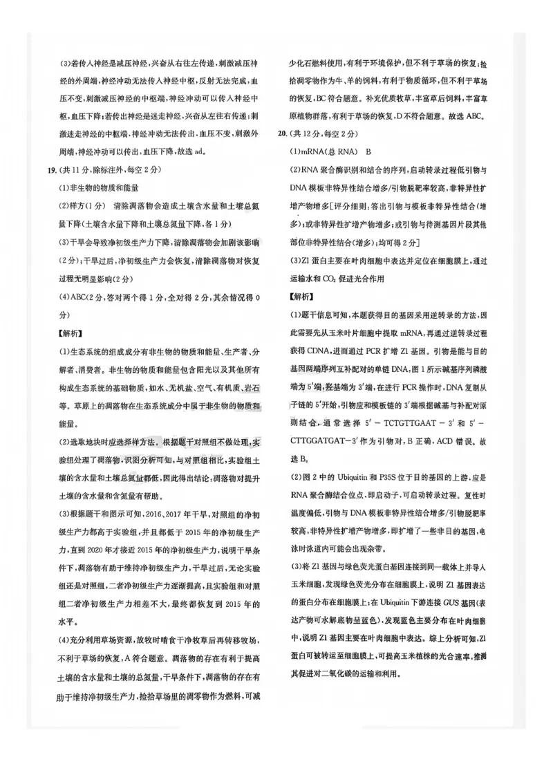 巴中市普通高中2023级&ldquo;一诊&rdquo;模拟考试生物答案(1)_2026年1月_260118四川省巴中市普通高中2023级&ldquo;一诊&rdquo;模拟考试（全科）