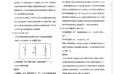 巴中市普通高中2023级&ldquo;一诊&rdquo;模拟考试生物答案(1)_2026年1月_260118四川省巴中市普通高中2023级&ldquo;一诊&rdquo;模拟考试（全科）