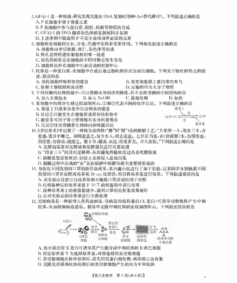 辽宁省金太阳2026届高三9月开学联考（26-16C）生物+答案_2025年9月_250910金太阳&middot;辽宁省2026届高三9月开学联考（26-16C）（全科）