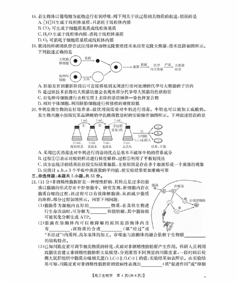 辽宁省金太阳2026届高三9月开学联考（26-16C）生物+答案_2025年9月_250910金太阳&middot;辽宁省2026届高三9月开学联考（26-16C）（全科）