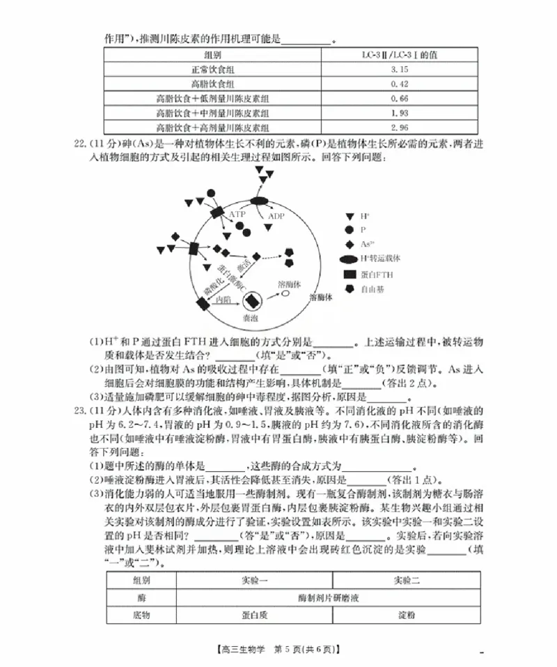 辽宁省金太阳2026届高三9月开学联考（26-16C）生物+答案_2025年9月_250910金太阳&middot;辽宁省2026届高三9月开学联考（26-16C）（全科）